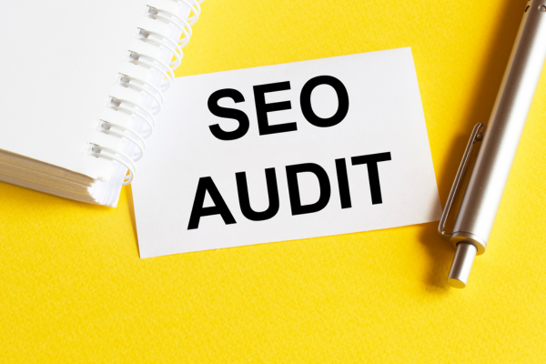 website seo audit